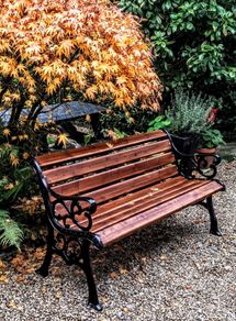 Garden Benches (Multiples Available)