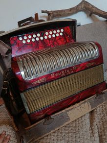 hohner black dot double ray de luxe
