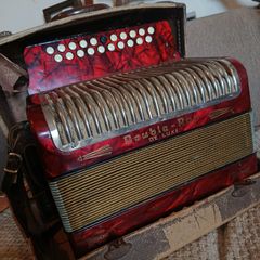 hohner black dot double ray de luxe