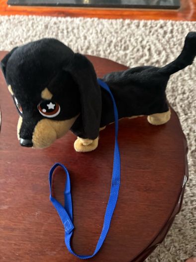 waggers dog