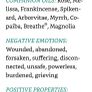 Manuka Essential Oil - Limited Edition Image 6