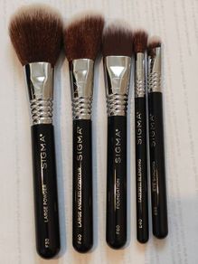 Sigma travel size make up brushes with a case