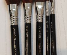 Sigma travel size make up brushes with a case