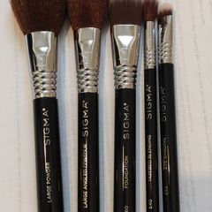 Sigma travel size make up brushes with a case