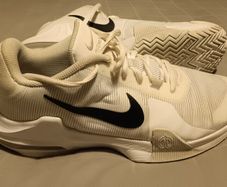 Nike AirMax Impact 4 Basketball shoes