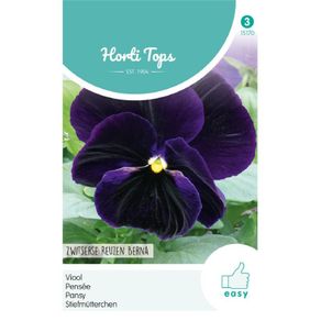 HT Pansy Swiss Giants Berna Viola Seeds 0.4g | Sow in August