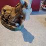 Vintage Burro Mule Donkey Nativity Replacement or Your Private Collection Japan Large Image 3