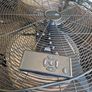 Cyclone 650T-W Fan Image 4
