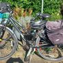 ladies bike Image 2