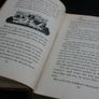 Stories for Little Children // 1920 Hardback // The Kindergarten Children's Hour // Children's Stories and Poems , Songs, plays, Vol 1 Image 4