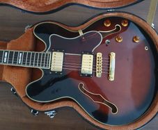 Epiphone Sheraton Guitar
