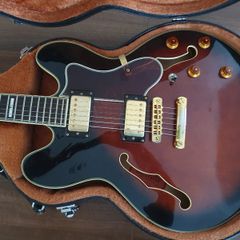Epiphone Sheraton Guitar
