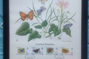 1981 Guernsey Butterflies Limited Edition Lithograph Framed Print in black frame with print measuring 333mm X 257mm