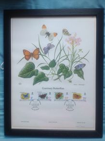 1981 Guernsey Butterflies Limited Edition Lithograph Framed Print in black frame with print measuring 333mm X 257mm