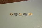 Set of 5 resin fossils