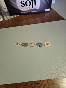 Set of 5 resin fossils