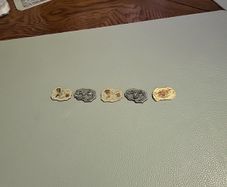 Set of 5 resin fossils