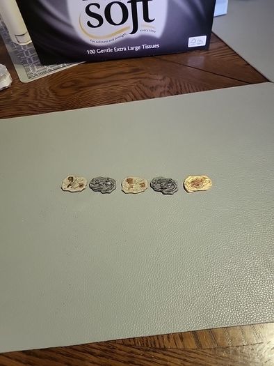 Set of 5 resin fossils