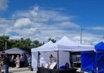 Blue Pop Up Gazebo 3x3m