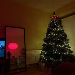 Christmas Tree + Decorations + Lights