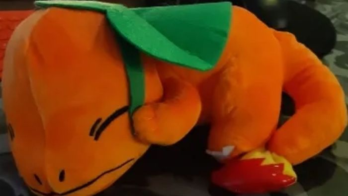 Pokemon Sleeping Charmander 27cm plush toy
