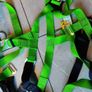 scaffolding harnesses Image 3
