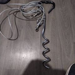 dog training tool