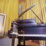 Graceland/ The Living Legacy of Elvis Presley/ 1994 Image 5