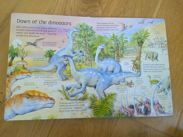 See Inside The World Of Dinosaurs An Usborne Flap Book