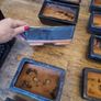 Bonsai pots Image 7