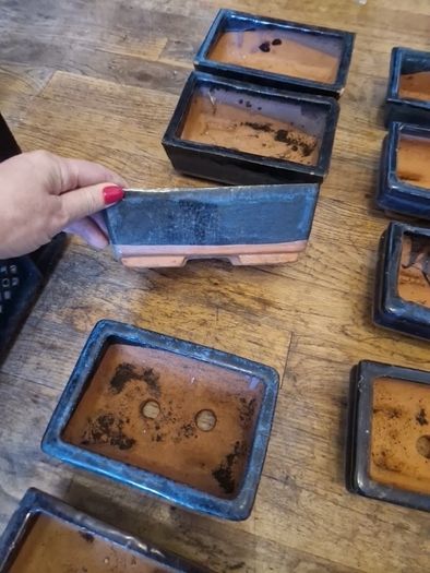 Bonsai pots