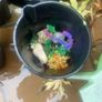 fish tank Image 2
