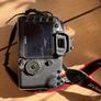 Canon EOS 5D Mark II 38k Shutter Image 6