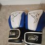 Boxing Gloves (sparing) Image 3