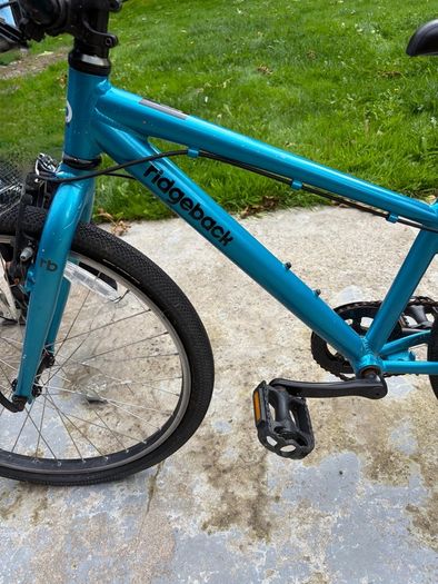 Ridgeback Dimension 24"