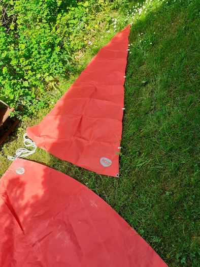 Mirror Dinghy