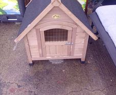 kennel