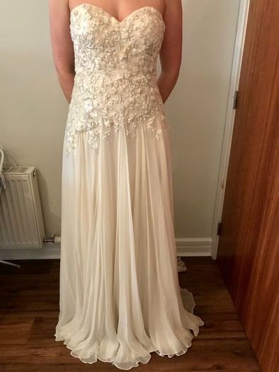 Never worn wedding dress and veil