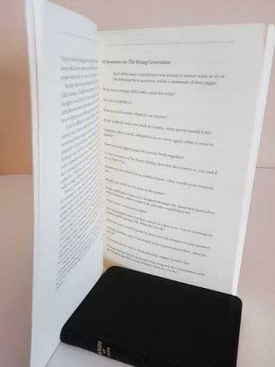 Poetry Ireland Review 118: The Rising Generation Edited by Vona Groarke (RB47)