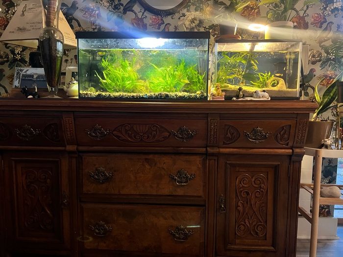 Fish tank