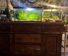 Fish tank