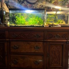 Fish tank