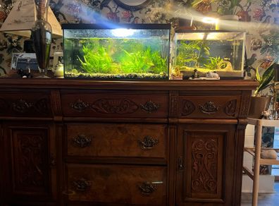 Fish tank
