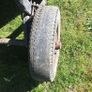 Donkey cart Image 8