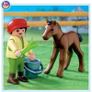 Huge box of horse and pony themed Playmobil Image 9