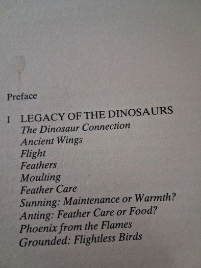 The Private Life of Birds Michael Bright / 1993