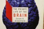 The private Life of the Brain