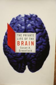 The private Life of the Brain