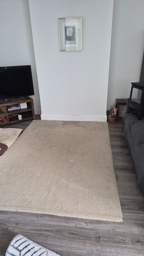 Ikea Rug