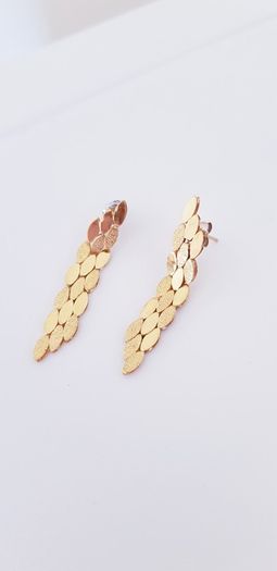 Earrings - Gold/Silver Plated